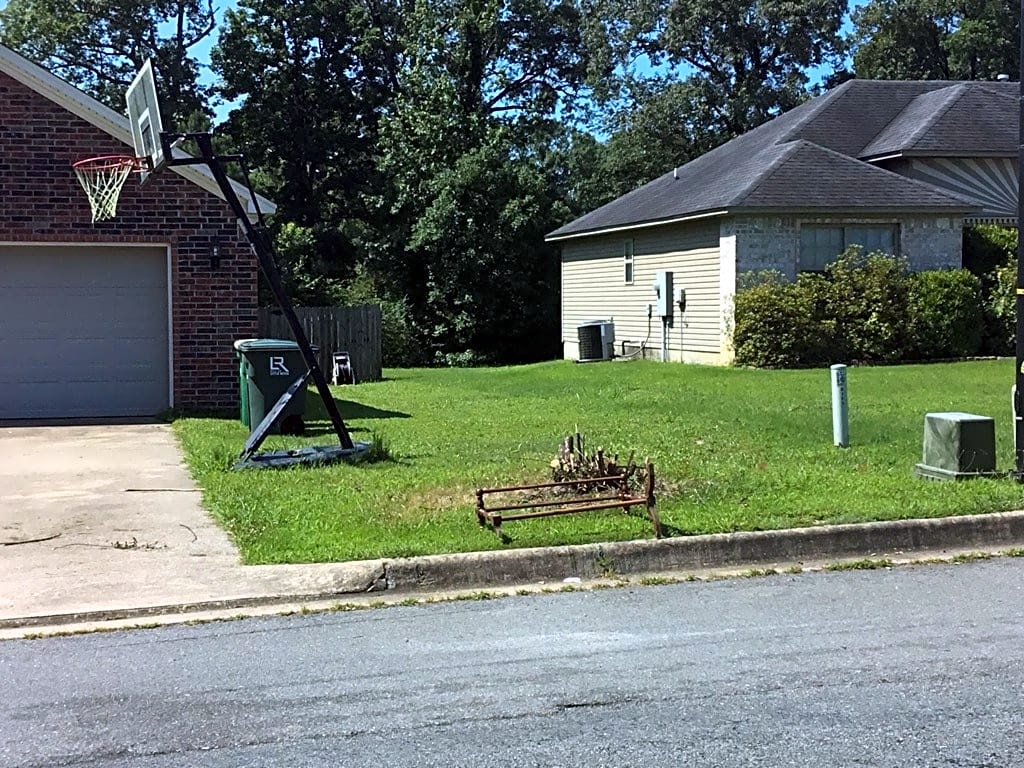 Image submitted with report