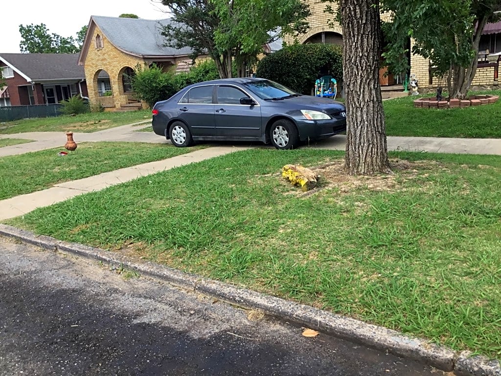 Image submitted with report