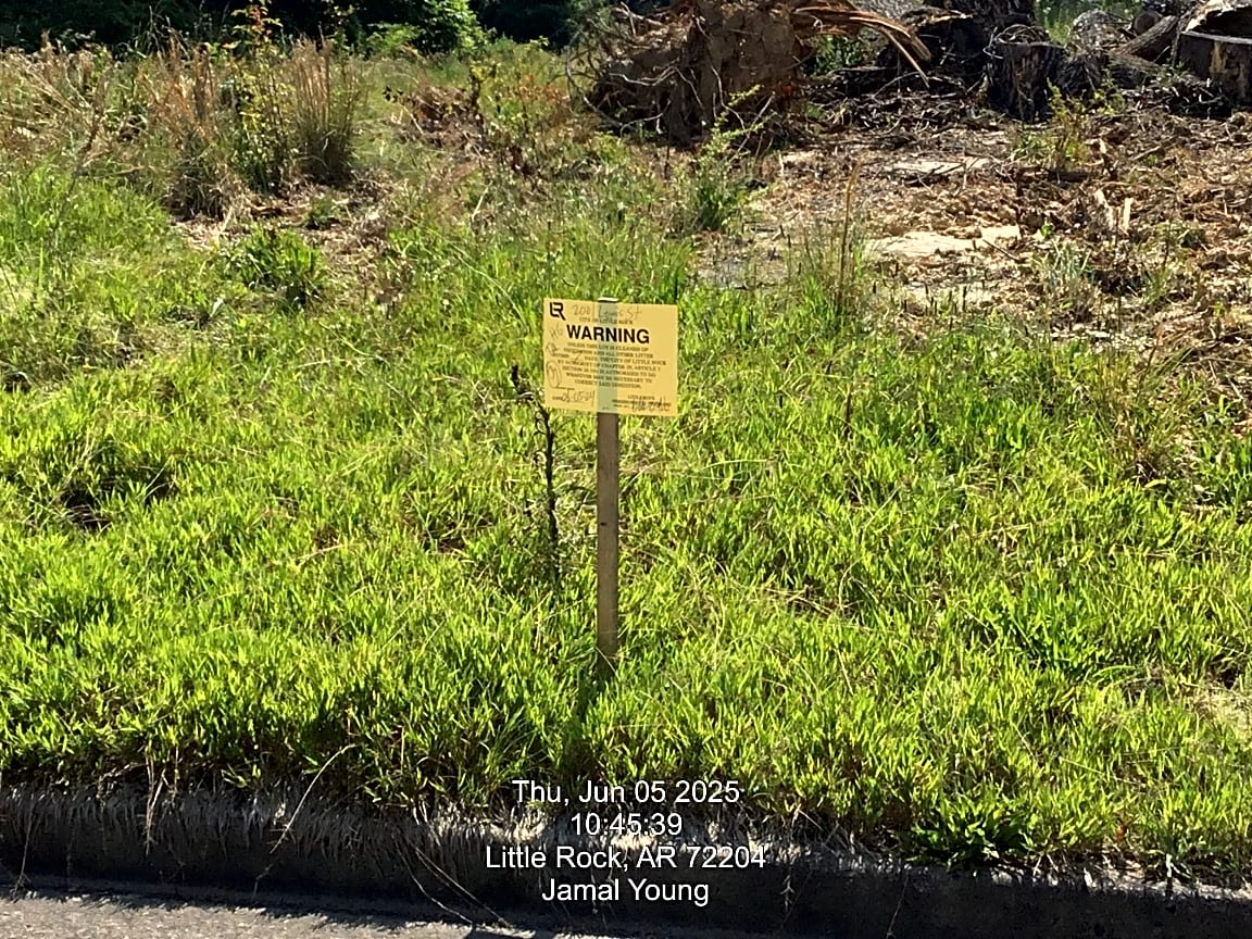 Image submitted with report