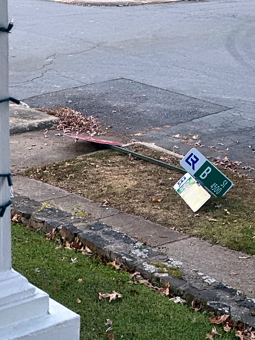 Image submitted with report