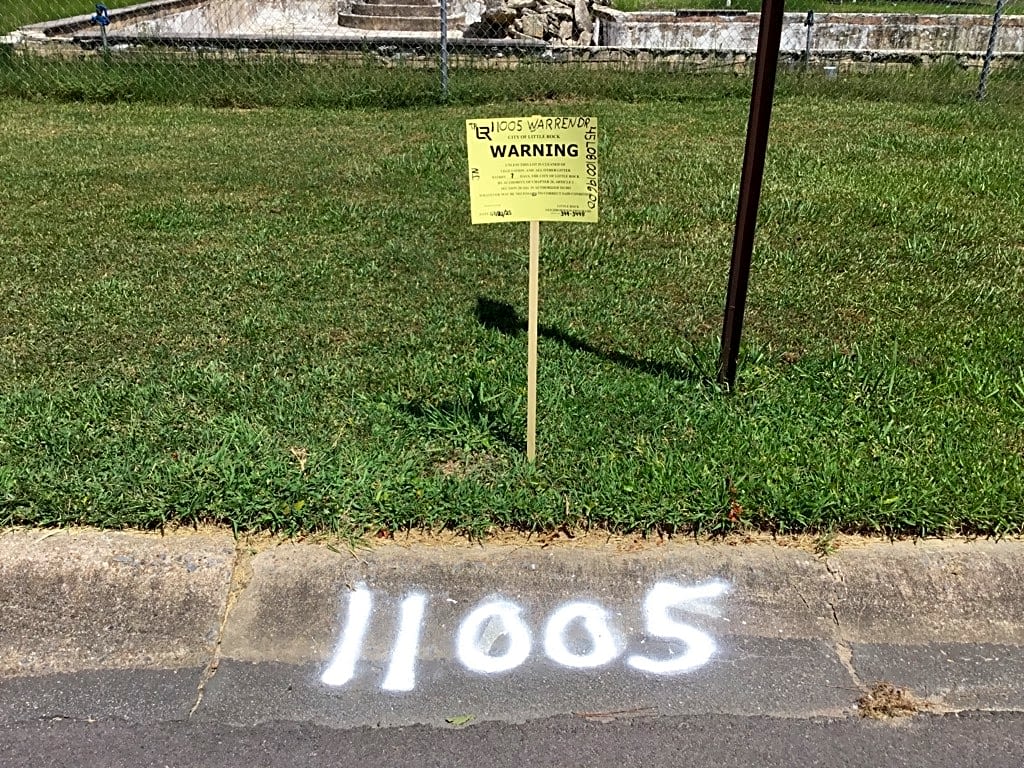 Image submitted with report