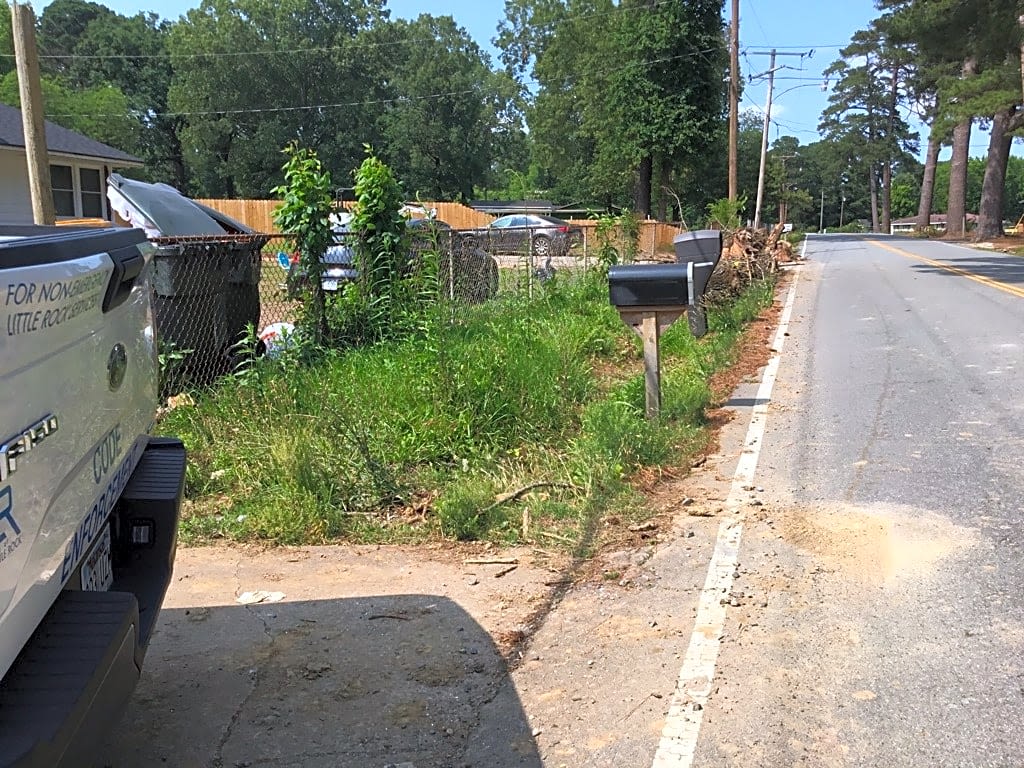 Image submitted with report