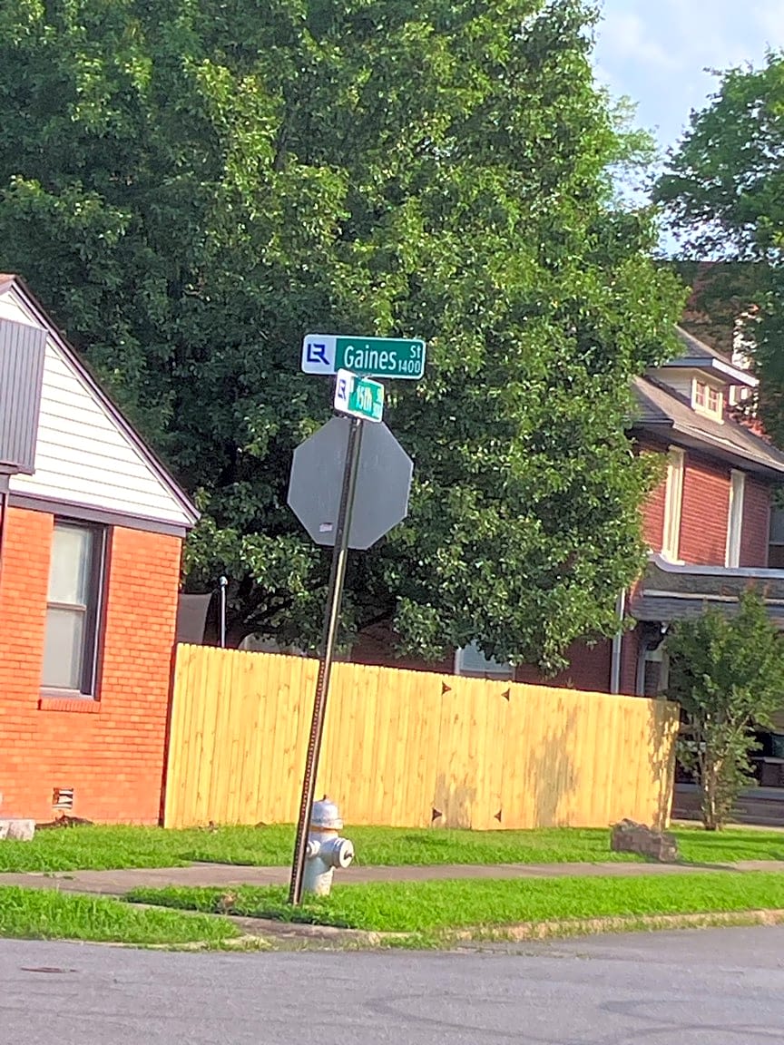 Image submitted with report