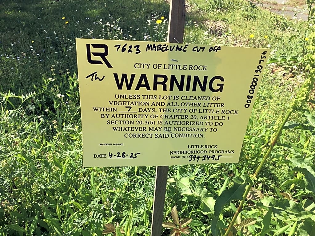 Image submitted with report