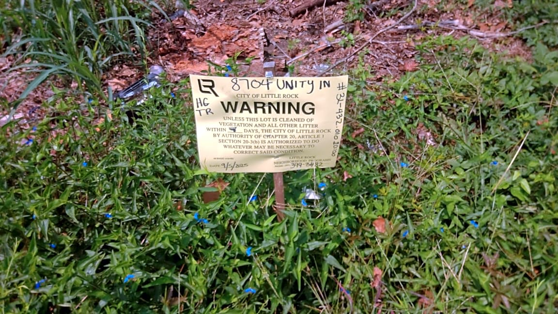 Image submitted with report