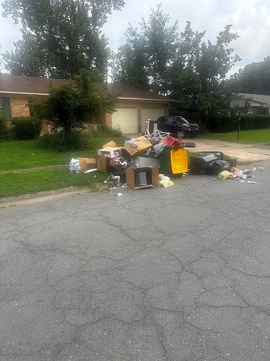 Image submitted with report