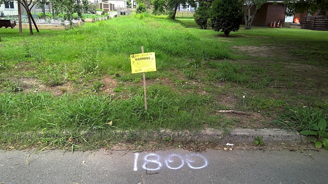 Image submitted with report