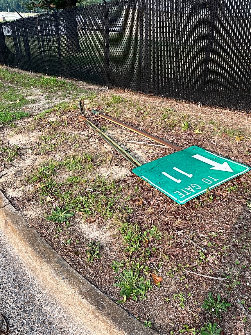 Image submitted with report