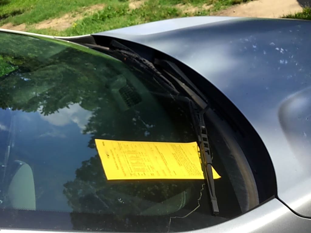 Image submitted with report