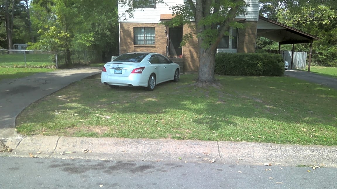 Image submitted with report