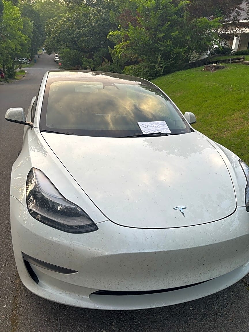 Image submitted with report