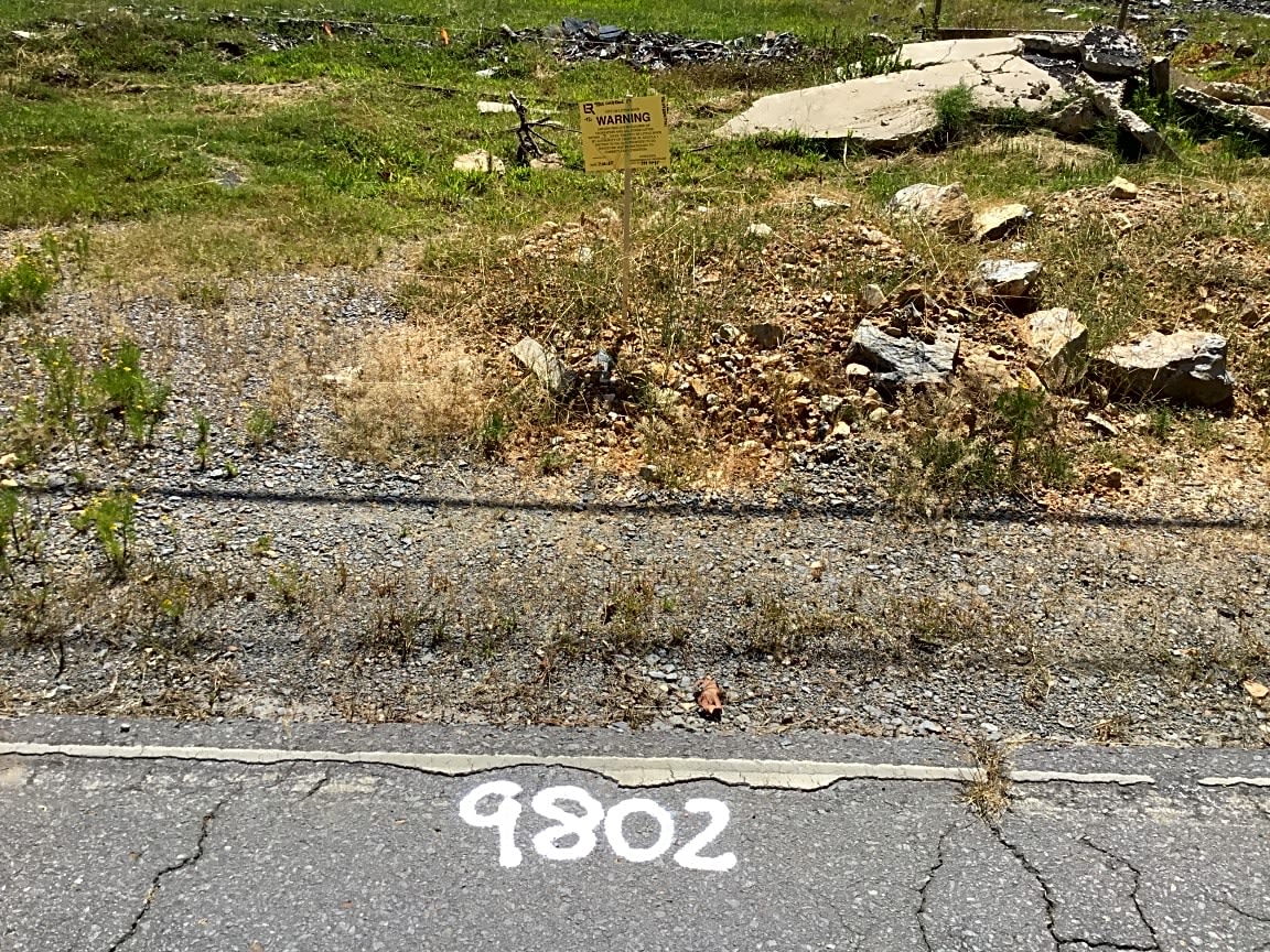 Image submitted with report
