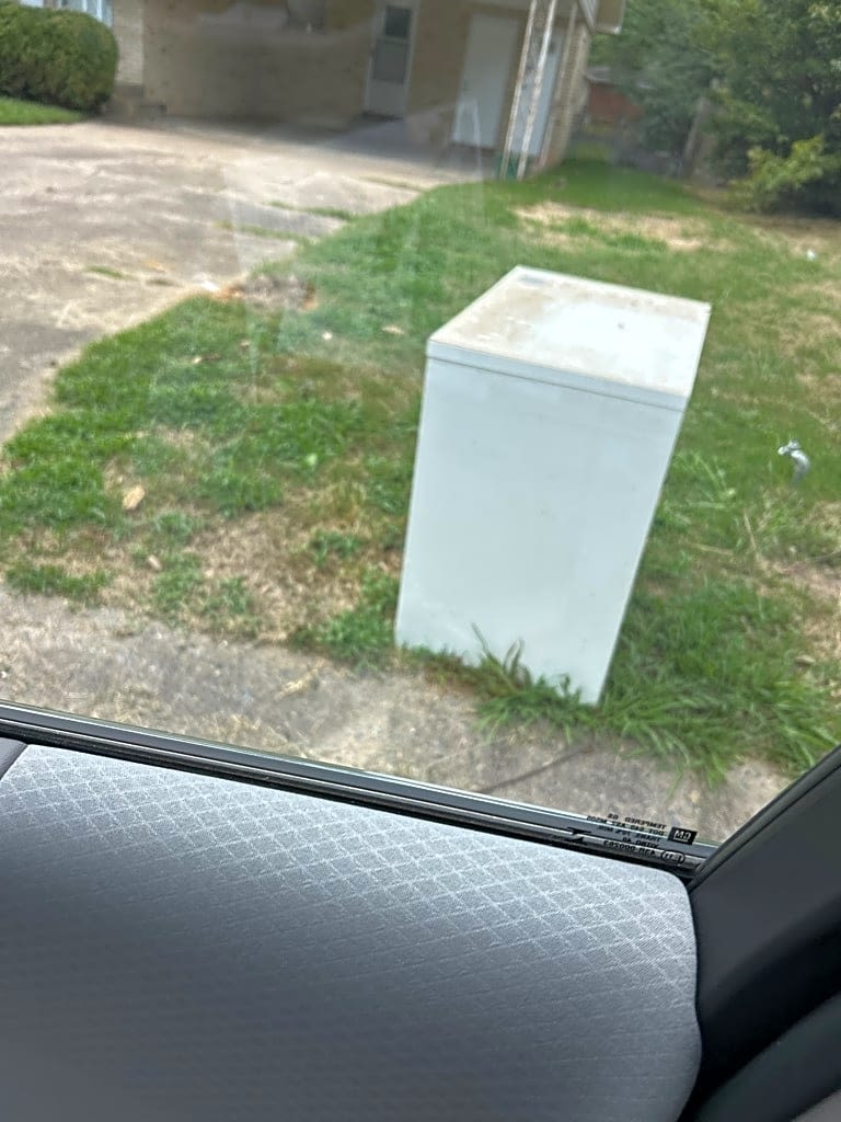 Image submitted with report