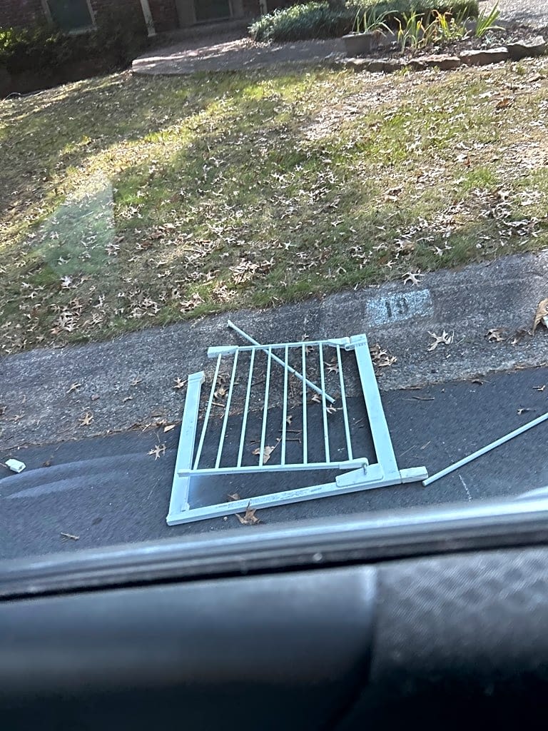 Image submitted with report