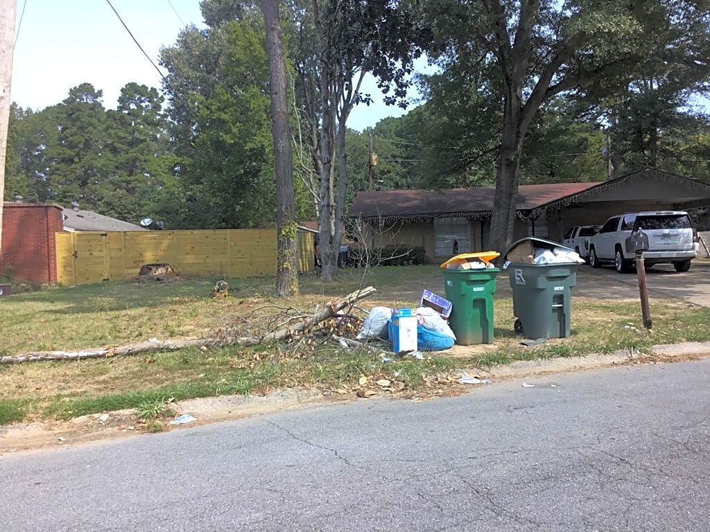 Image submitted with report