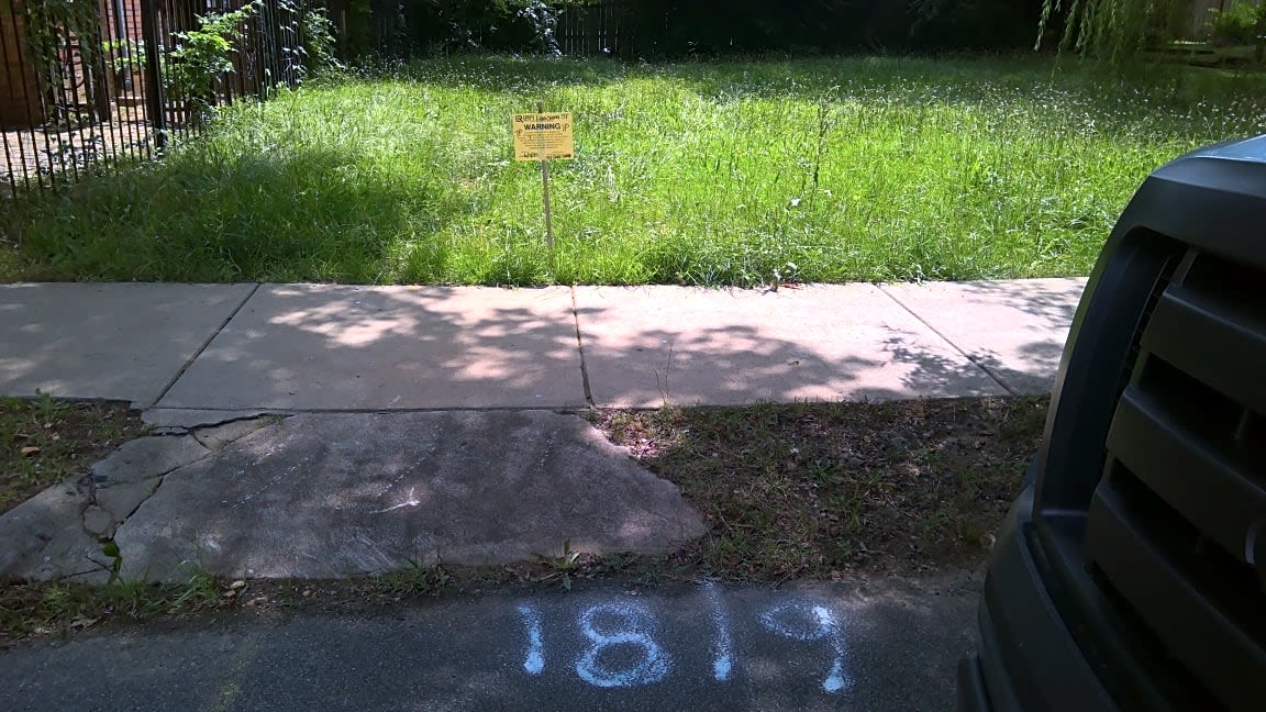 Image submitted with report