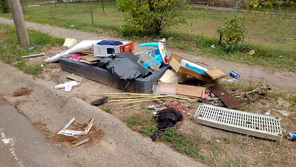 Image submitted with report