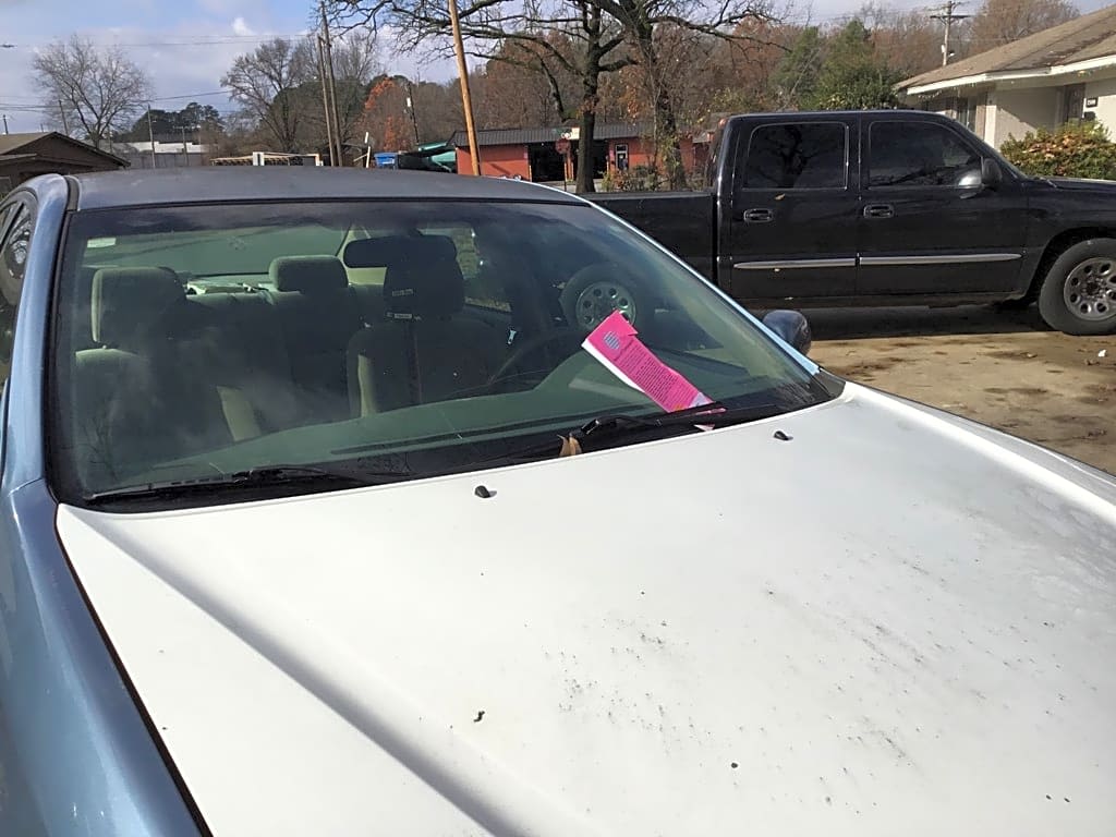 Image submitted with report