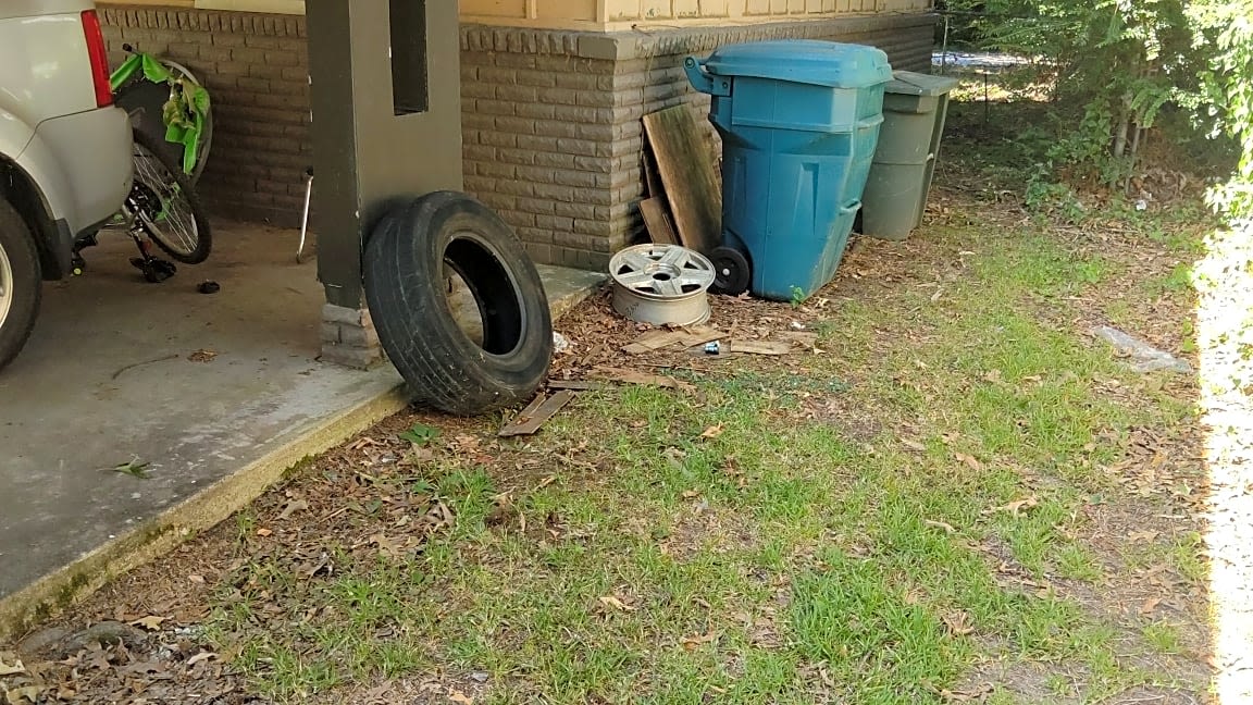 Image submitted with report