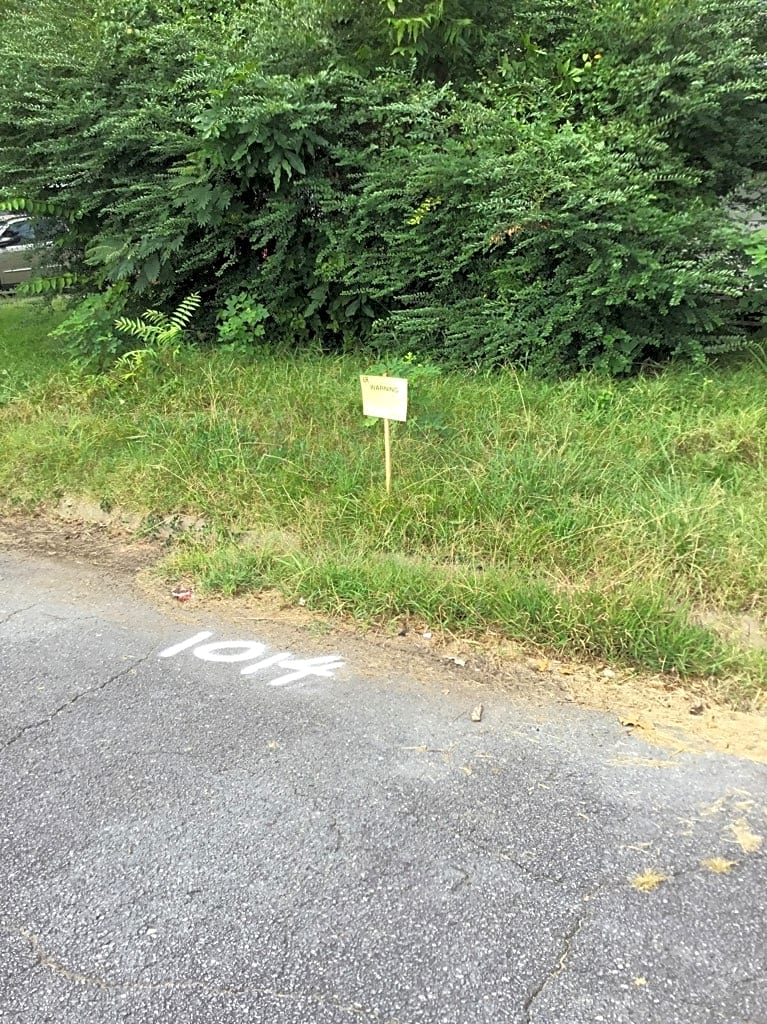 Image submitted with report