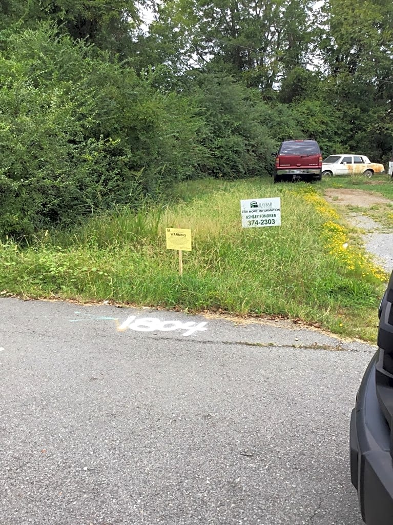 Image submitted with report