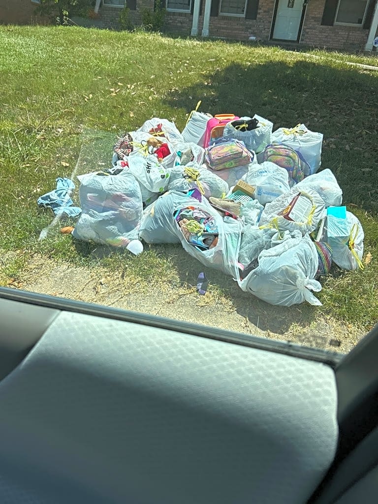 Image submitted with report