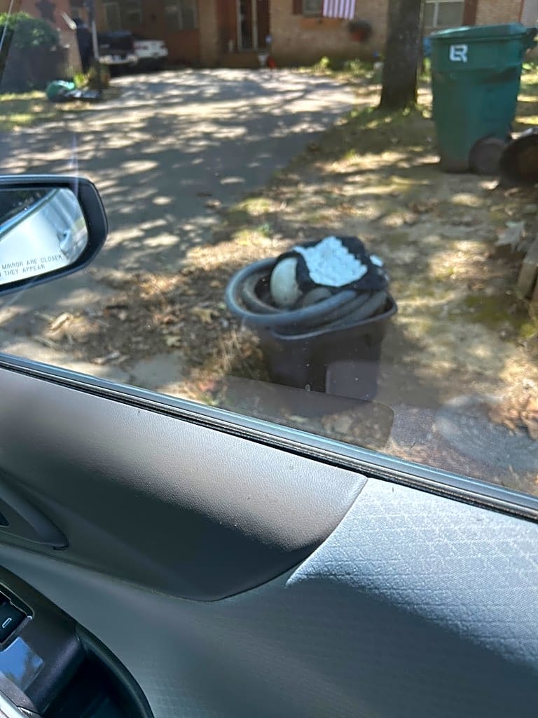 Image submitted with report